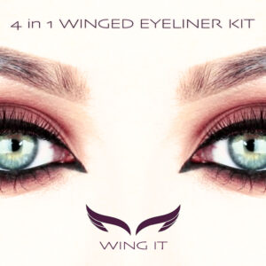 The Complete 4 in 1 Cat Eye Winged Eyliner Makeup Kit